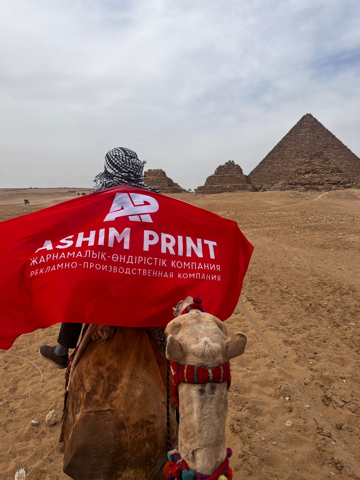 Команда AshimPrint